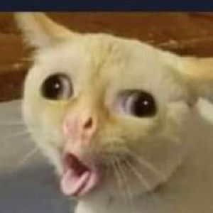 Meet your Posher, Cole